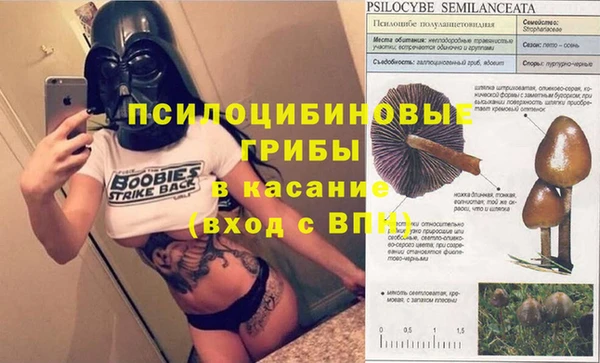 spice Бронницы