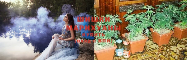 spice Бронницы