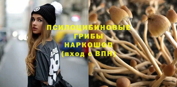 spice Бронницы