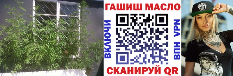 Дистиллят ТГК Wax  omg онион  Наволоки 