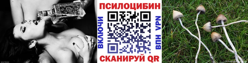 Псилоцибиновые грибы мицелий  нарко площадка какой сайт  Наволоки 